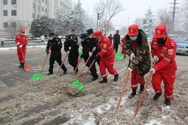 河南积雪深度超20cm，极端天气下的挑战与应对_动态词语解释落实