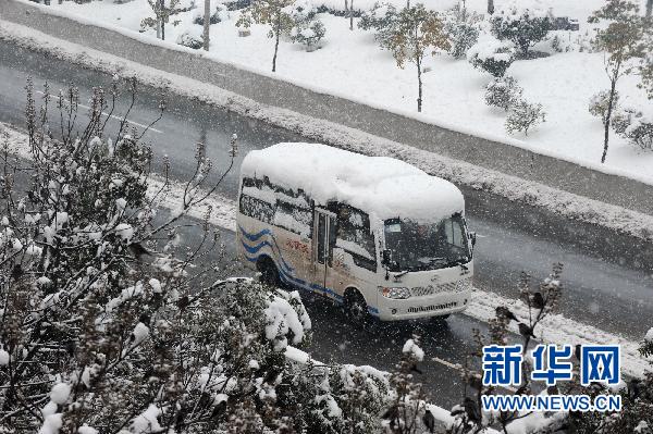 暴雪下的春运回家路，挑战与艰辛_落实到位解释