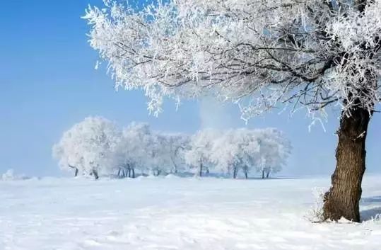 西安的雪下出东北的气势_反馈总结和评估