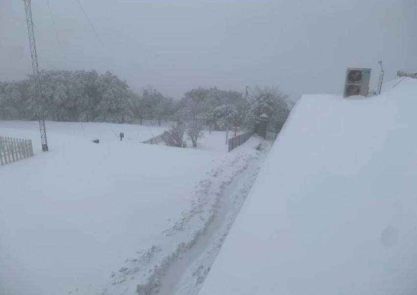 河南积雪深度超20cm，极端天气的挑战与应对_反馈目标和标准