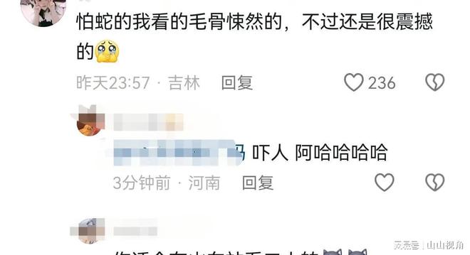 杨丽萍蛇舞