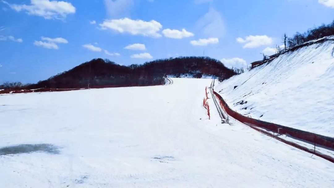 现实版的鹅毛大雪，壮丽奇观下的生活与思考_知识解答