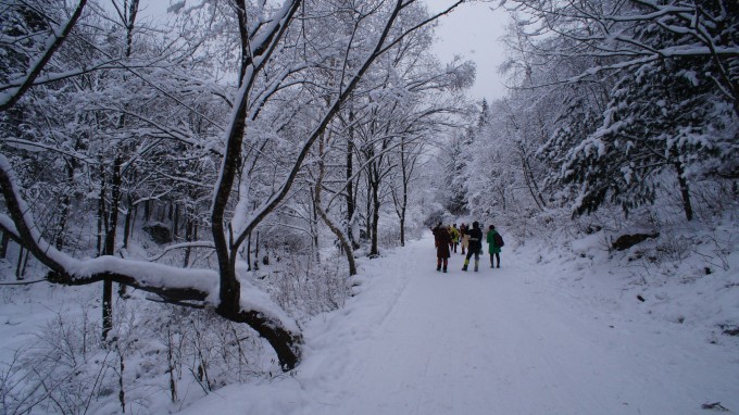 男子山上拍下现实版鹅毛大雪，壮丽景象引发网友热议_反馈实施和执行力