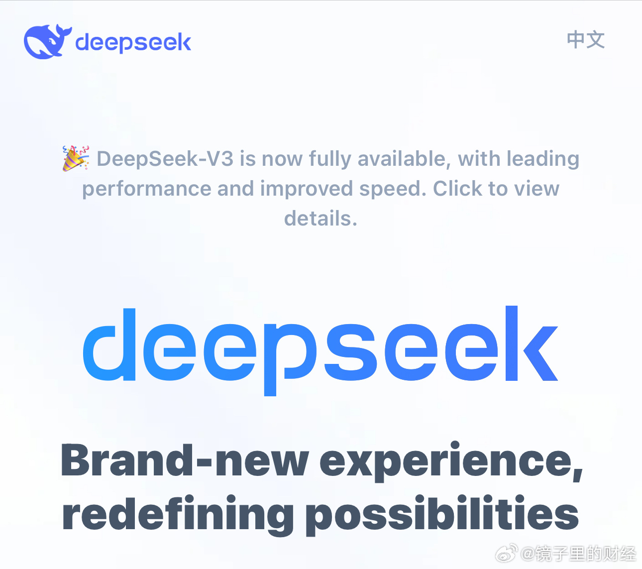 DeepSeek，被美国科技圈聚焦的创新之光_知识解答