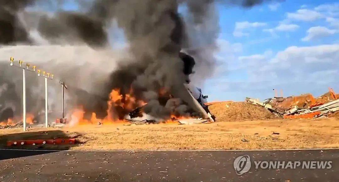 载有176人客机在韩国釜山机场突发火灾事件纪实_反馈评审和审查