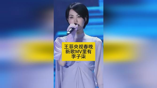 李子柒春晚战袍揭秘，古典与现代交融的绝美演绎_全面解释落实