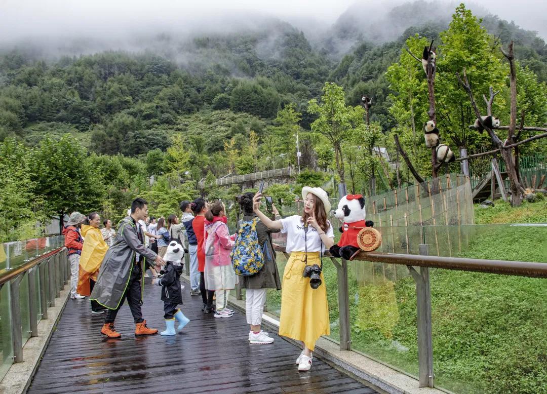 旅游景点人从众，拥挤中的独特体验与感悟_精密解答落实