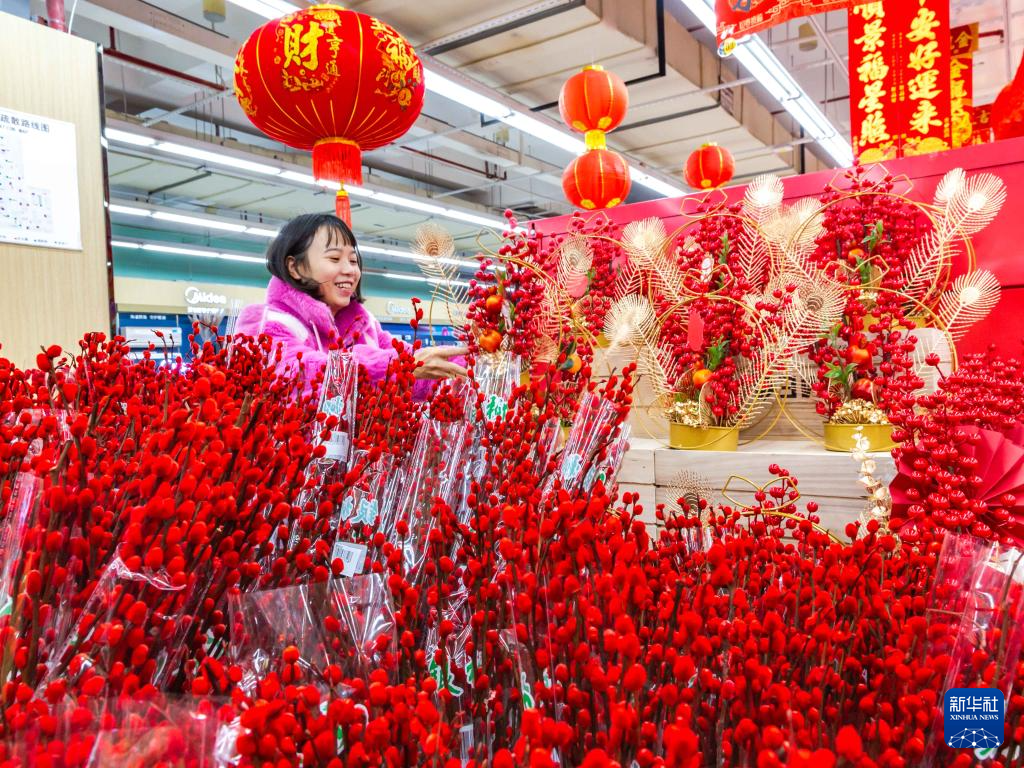 年味浓活力旺，春节的韵味与生机勃发的力量_精准解释落实