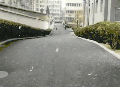 大年初四北京下雪，瑞雪兆丰年，古都展新颜_反馈内容和总结