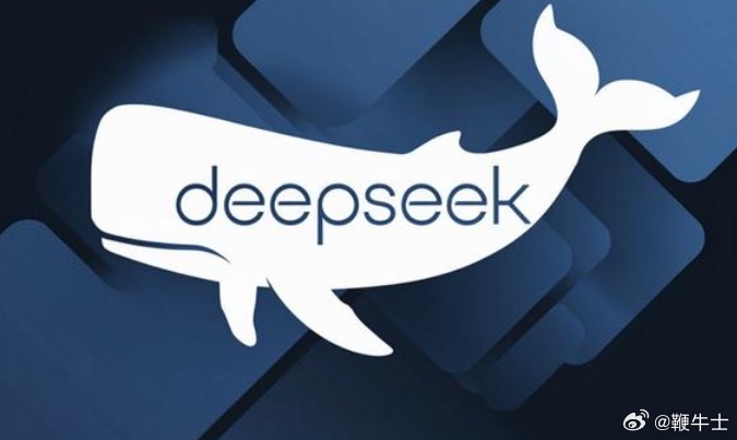 DeepSeek，全球140国下载量排名第一的奥秘_反馈实施和计划