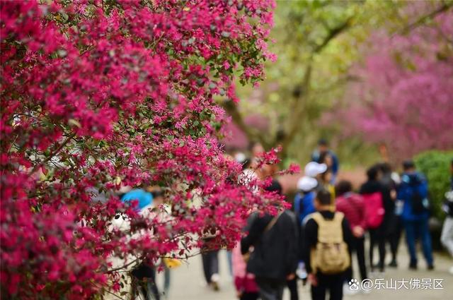 浓浓文化味，神州春意浓_方案实施和反馈