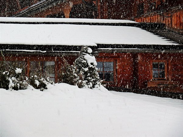 日本遭遇灾害级大雪侵袭_反馈意见和建议