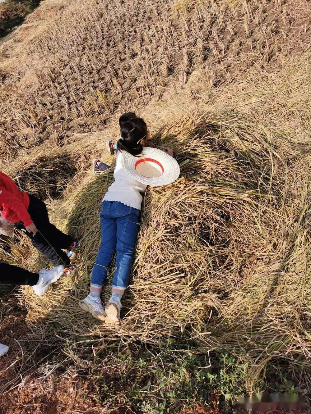 回老家睡稻草地铺的别样体验_反馈总结和评估