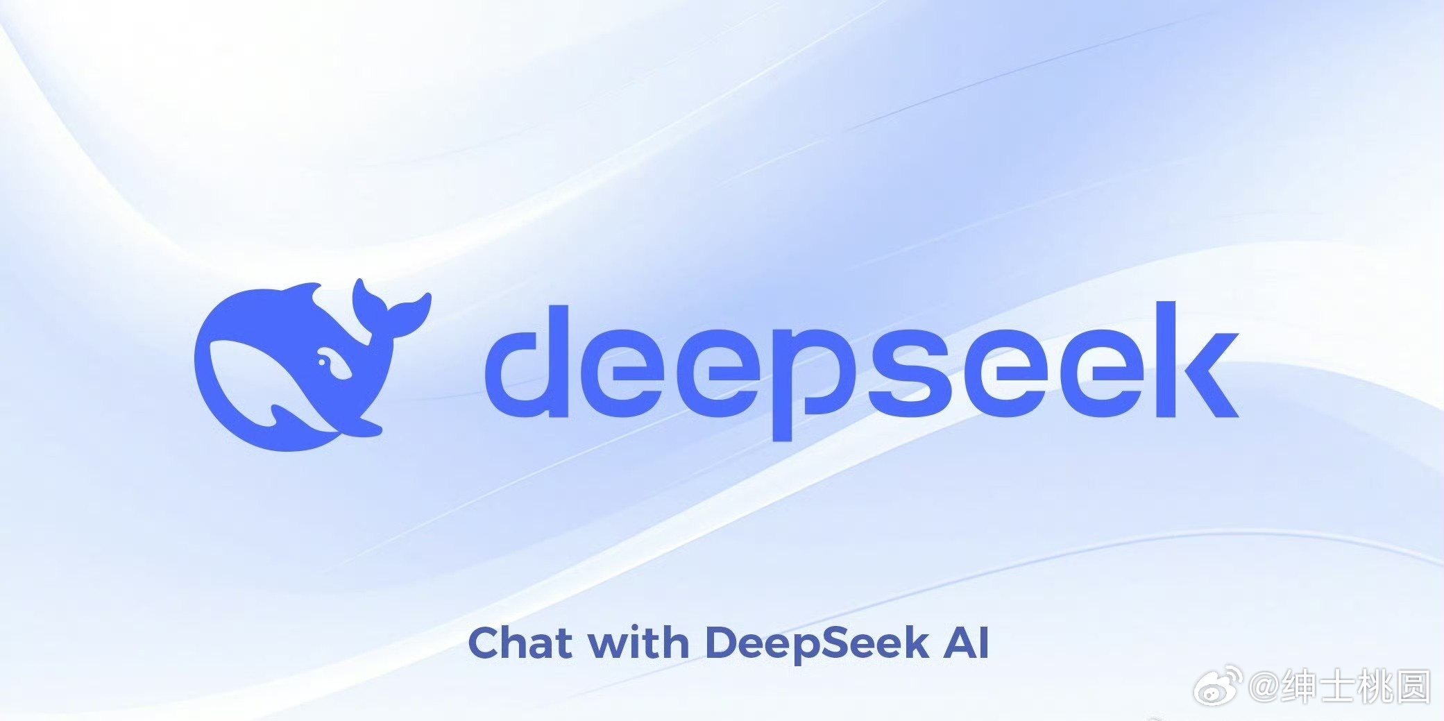 DeepSeek，全球启示，美国尤为深刻的一课_最佳精选