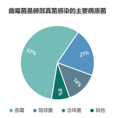 半数感染死亡与五种致命菌的关联探究_反馈调整和优化