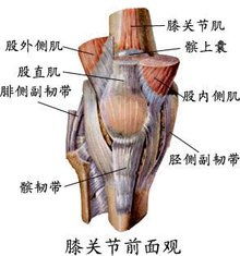 球员戴伟浚谈左膝前十字韧带断裂，挑战与重生_最佳精选