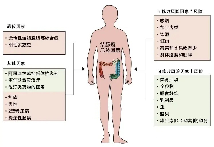 夫妻双双患癌，原来病因都在餐桌上_反馈执行和落实力