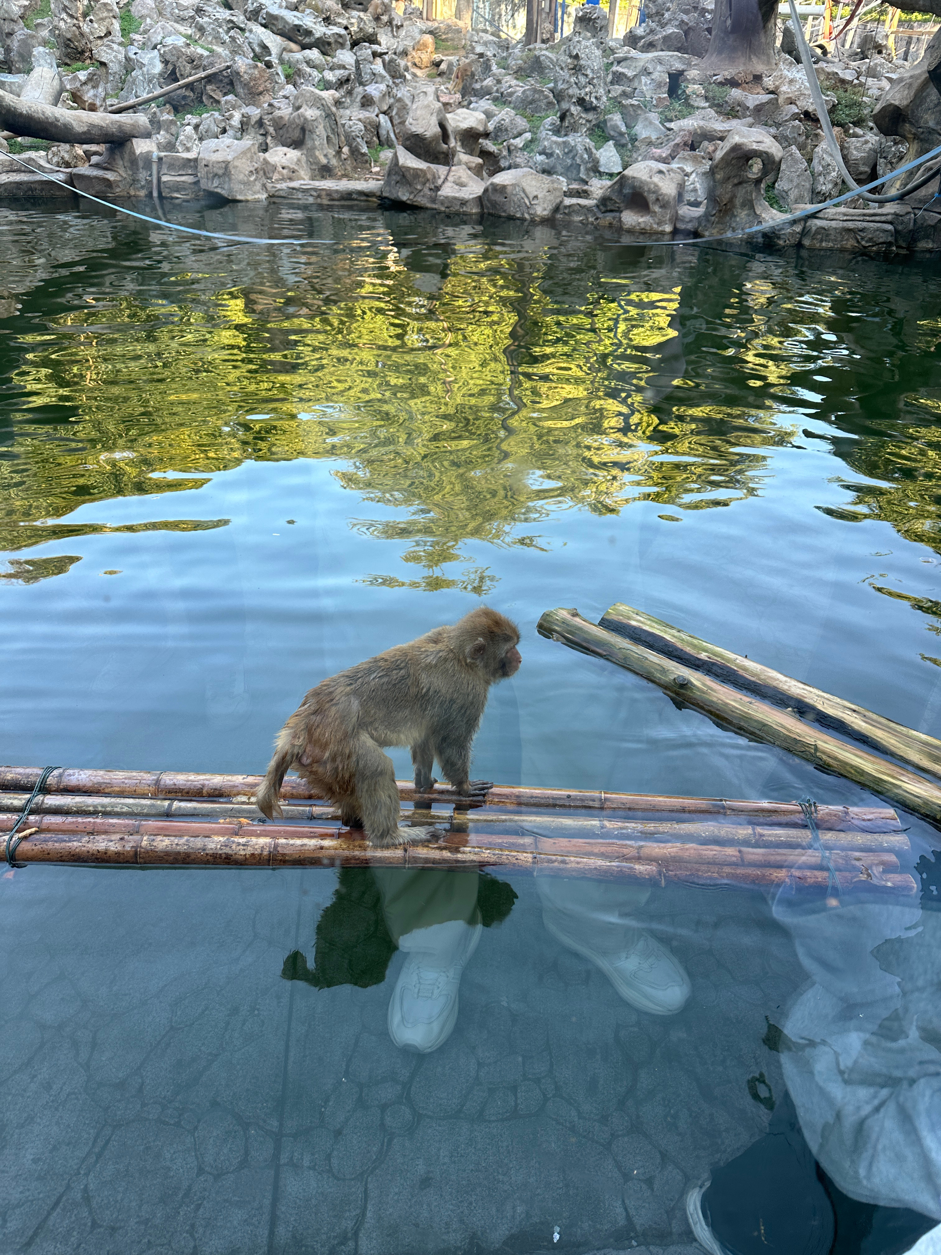 驴友打卡大圣之眼发现猴哥倒影，一场奇妙的自然探索之旅_知识解释