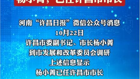 河南许昌市长杨小菁拟任省辖市委书记，城市发展的卓越领导者的新篇章_明确落实