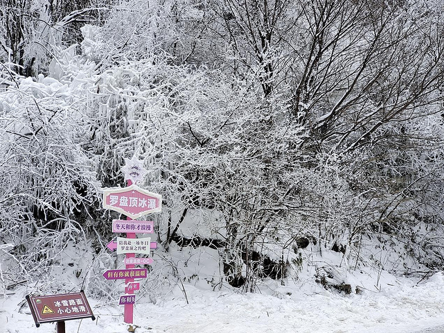 棉花代雪景区关闭背后的故事与启示_全面解答