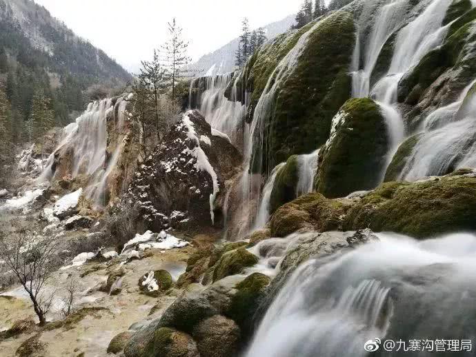 九寨沟景区辟谣，40岁以上游客并非免门票_动态词语解释落实