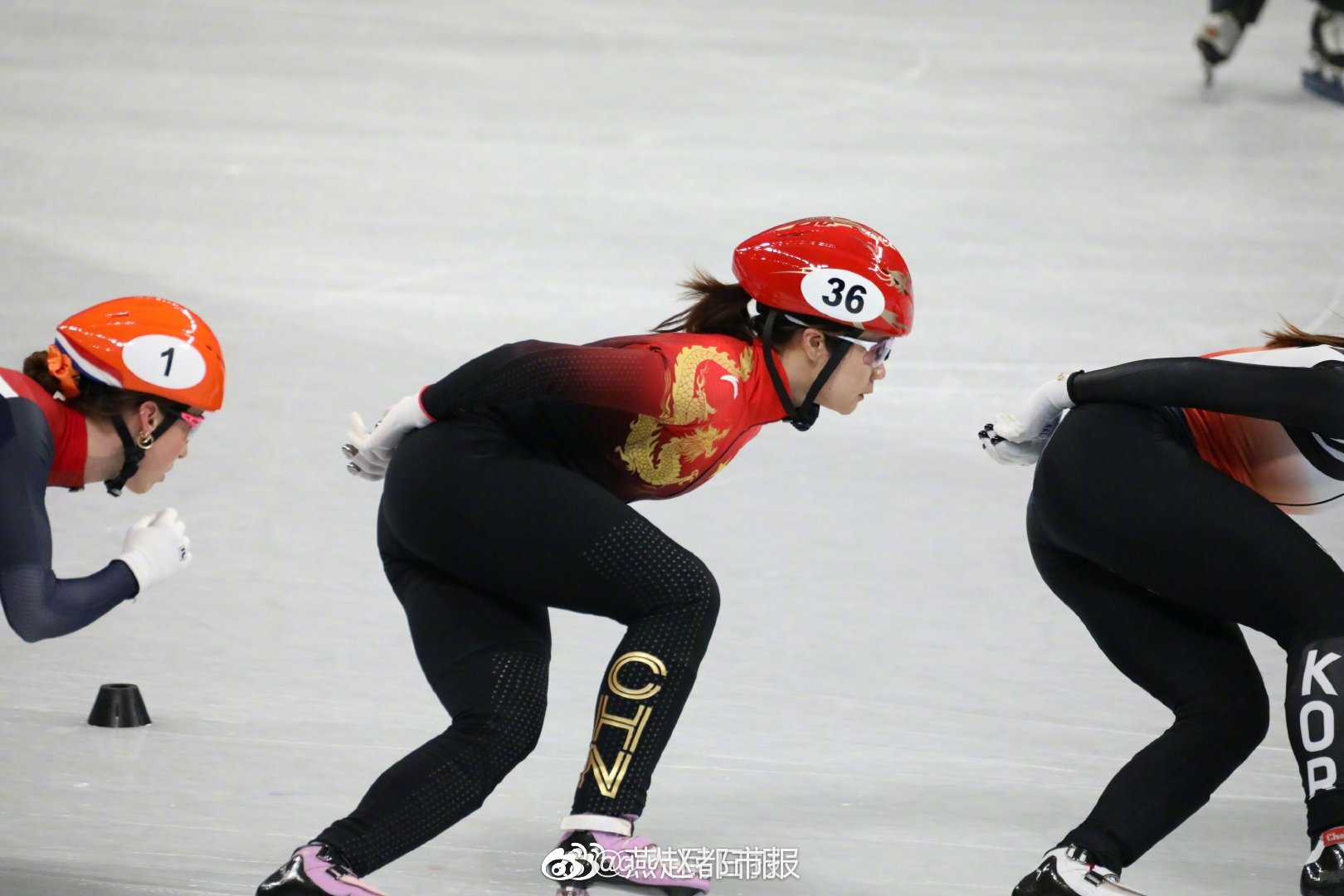 王濛谈短道速滑与冰上散打，韩国实力究竟如何？_反馈落实