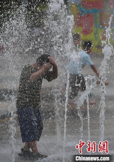 救人白马，高烧超40℃的生死时刻_细化方案和措施