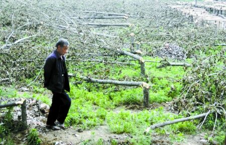 20多亩农田遭非法挖土售卖，当地迅速回应_细化落实