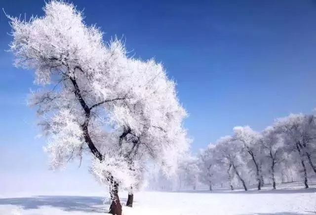 尔滨遇亚冬，冰雪更显闪亮之光_具体执行和落实