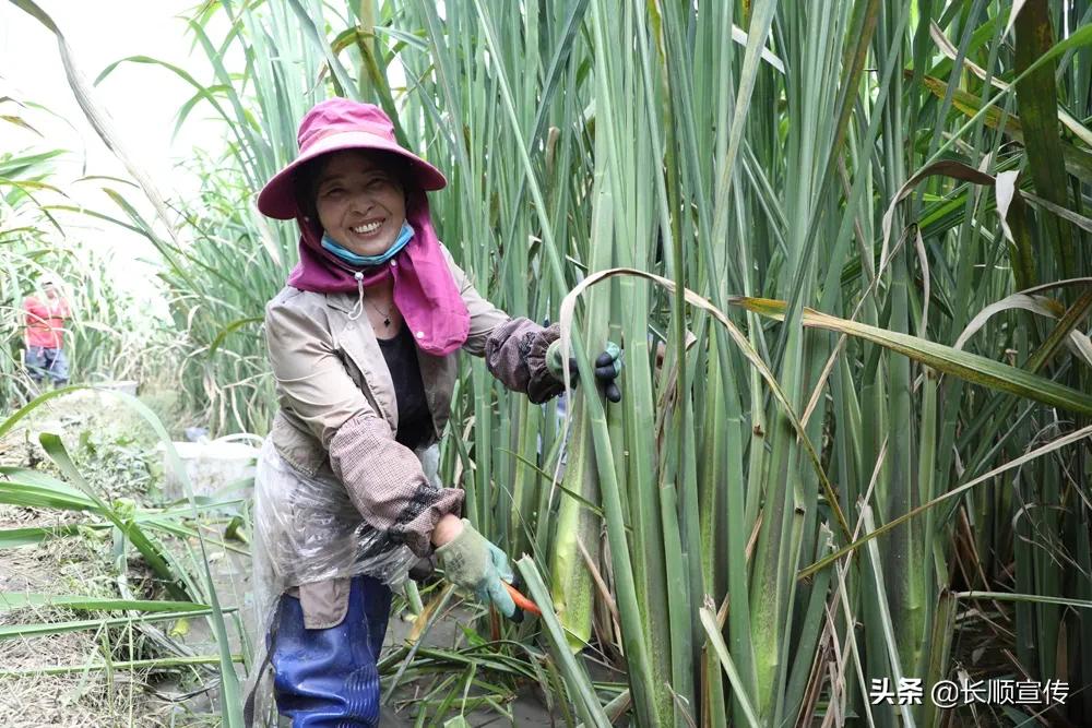 张核子上传乘坐商务座视频引发的热议_明确落实