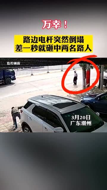 电线杆倒塌砸中路人，悲剧背后的警示与反思_反馈落实