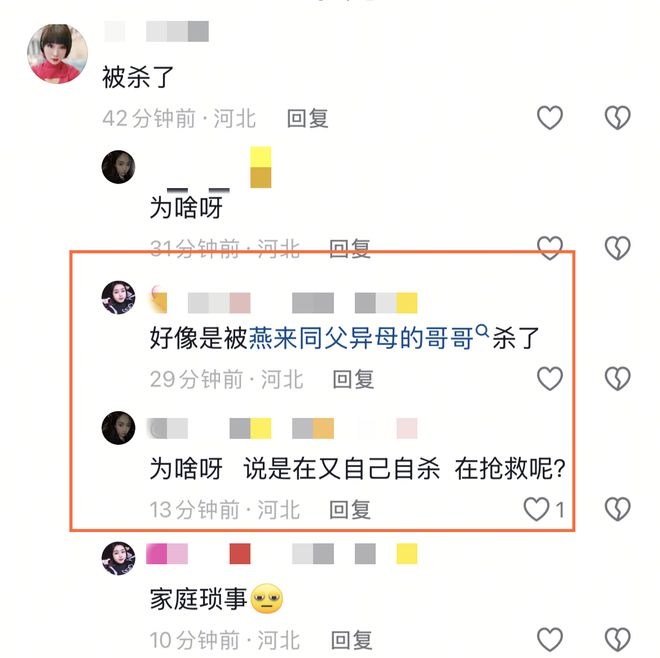 网红燕来妈妈疑被杀，震惊与悲痛中的真相探寻_词语解释