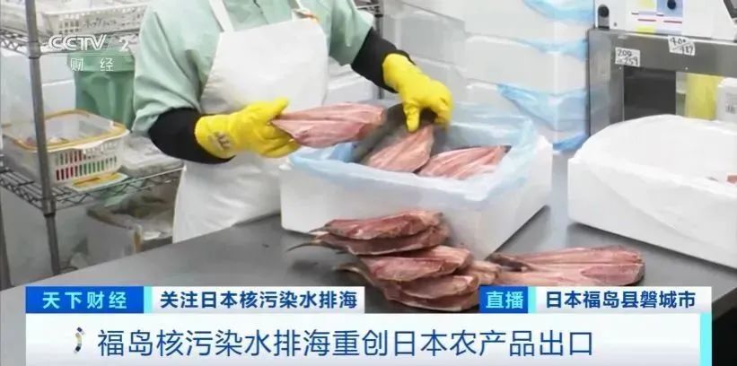 福岛核污染水海洋生物样本抵达中国，背后真相揭秘！_精选解释