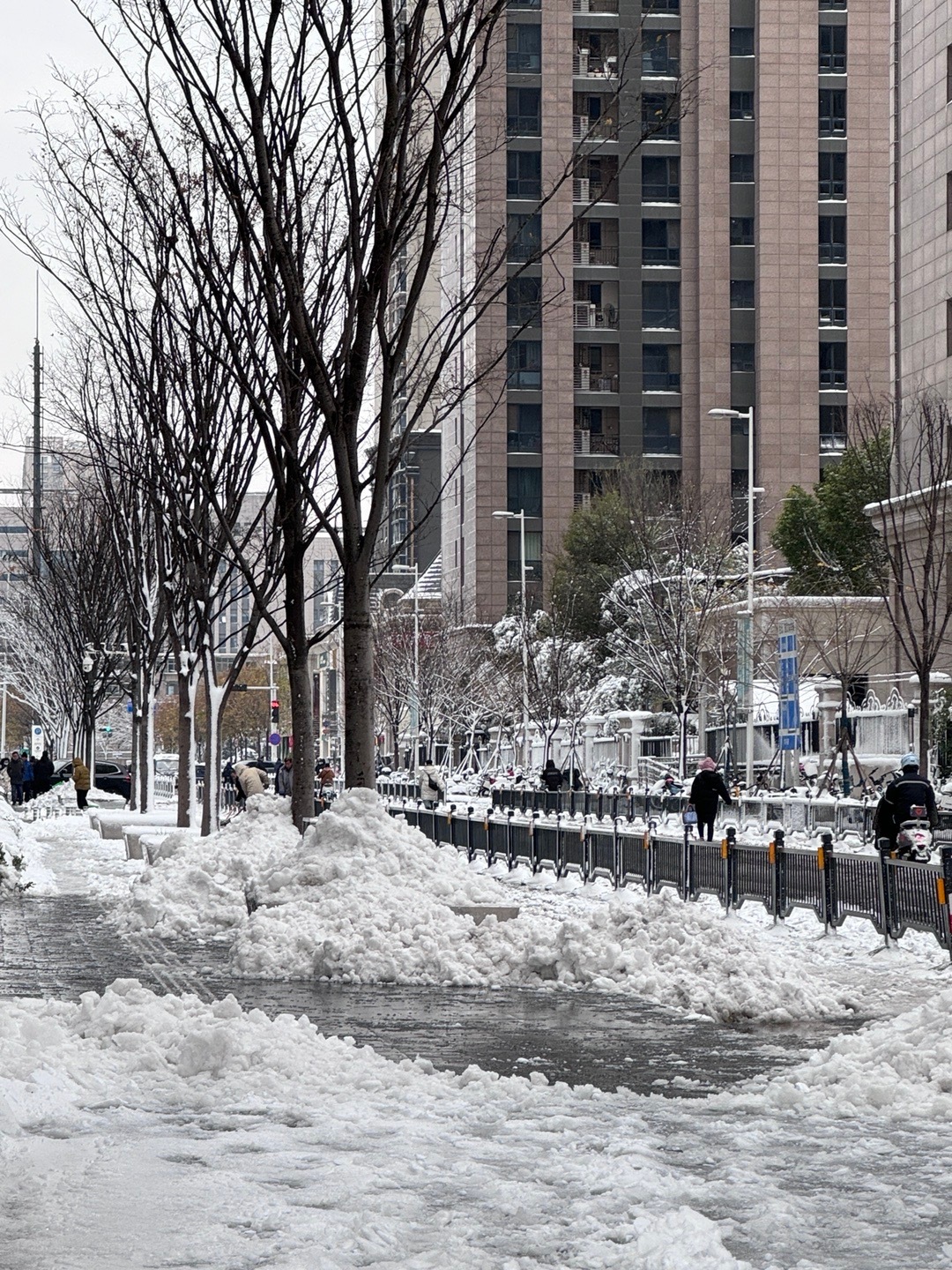 郑州下雪了，银装素裹的魅力与冬季气象揭秘_反馈评审和审查