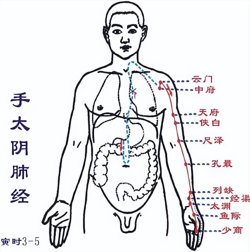 女子找老中医看病，竟有一味药是指甲盖？揭秘古老医术的神奇之处_权限解释落实