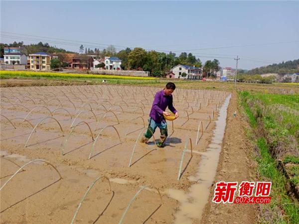 春回大地农事起，春耕备耕热潮涌动——把握农时，共赴丰收之约_解释落实