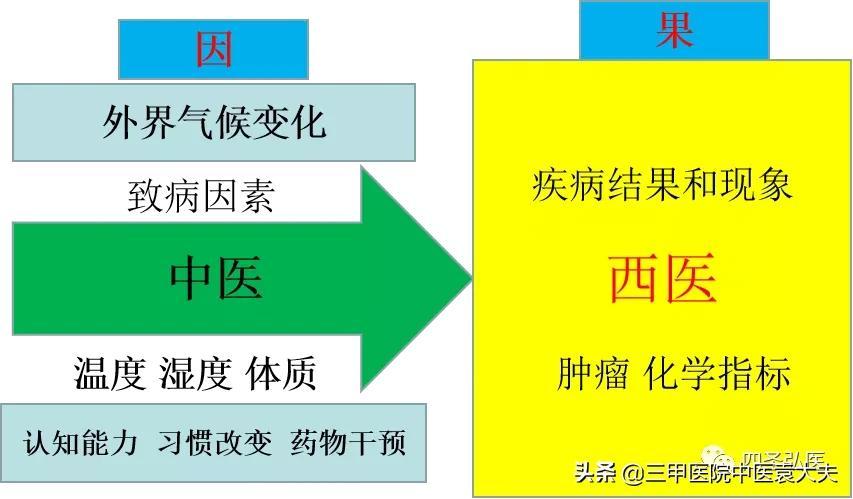 两周高烧不退，她的身体揭开了一个令人心碎的真相，白血病来袭！_知识解答