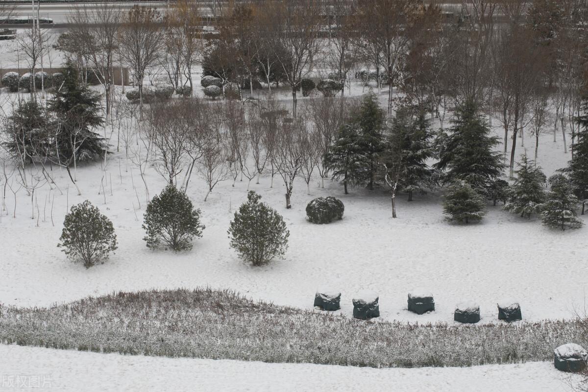 山东本轮降雪汹涌而至，究竟是谁在背后操控这场天灾？_反馈执行和跟进