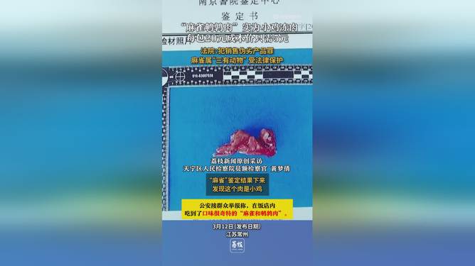 惊！饭店高价麻雀肉竟是鸡肉冒充，DNA检测揭开惊天骗局！_落实执行