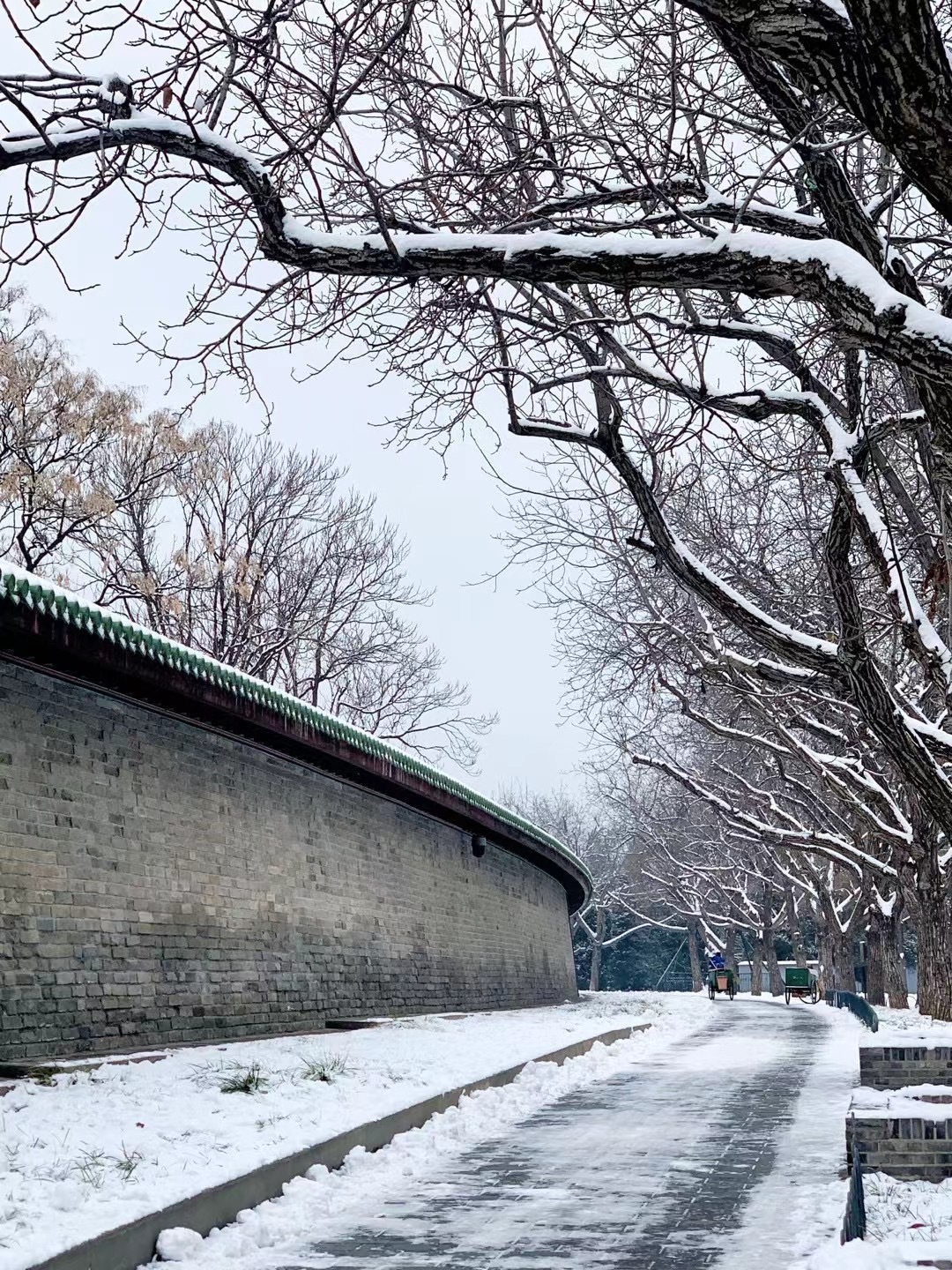 北京竟然下雪了