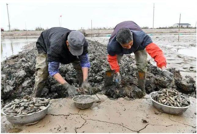 惊！乡镇书记镇长竟当众跳魔性舞蹈，背后真相让人哭笑不得！_精选解释落实